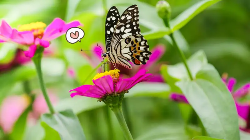 17 Contoh Simbiosis Mutualisme dalam Interaksi Makhluk&nbsp;Hidup