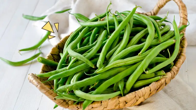 8 Makanan yang Membuat Sel Kanker Mati, Wajib Tahu&nbsp;Moms!