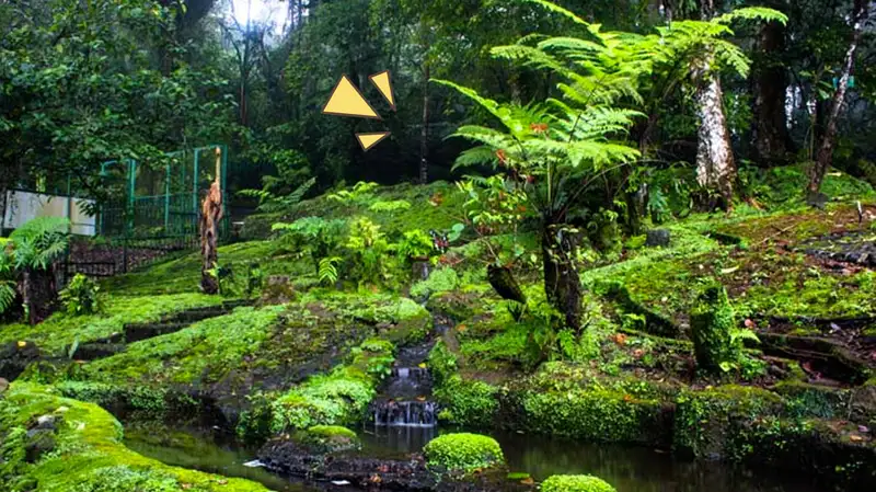 Spot Menarik Kebun Raya Cibodas dan Harga&nbsp;Tiketnya